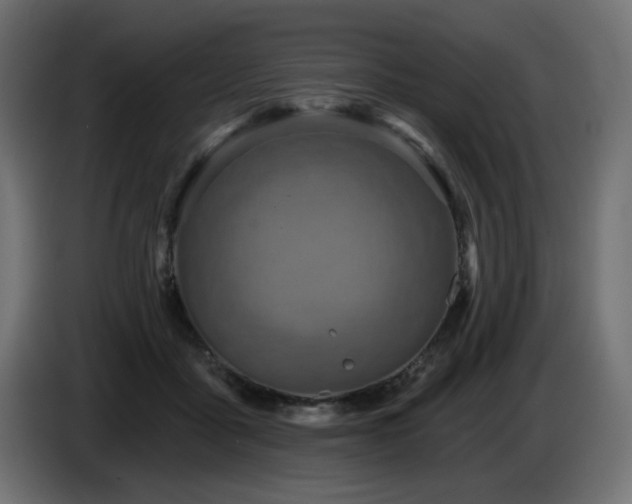 X0000087680411200705041032
