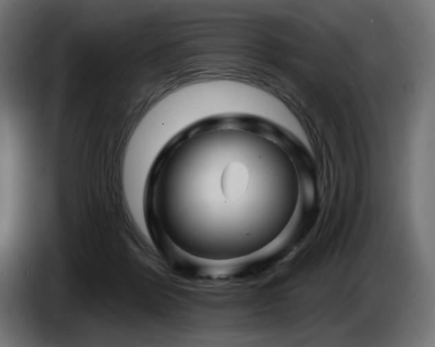 X0000087680412200705041032