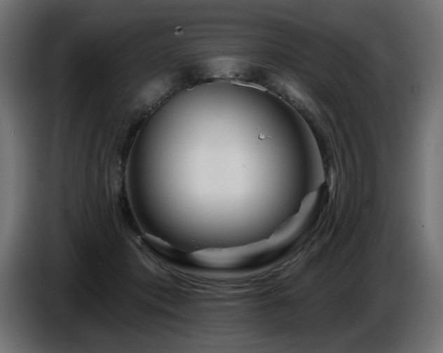 X0000087680413200705041032