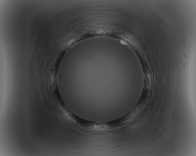 X0000087680415200705041032