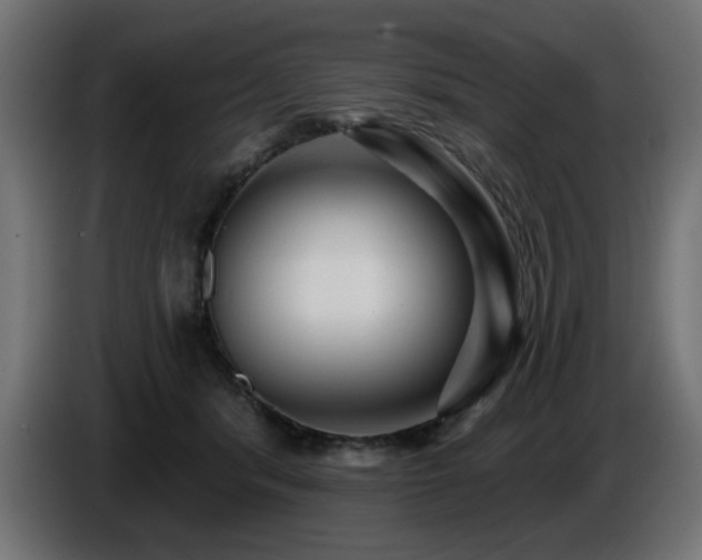 X0000087680416200705041032