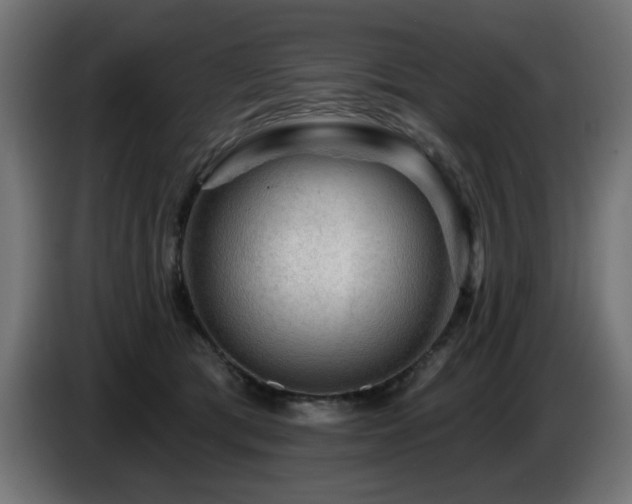 X0000087680417200705041032