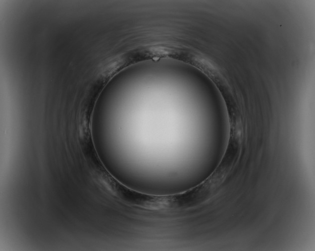 X0000087680418200705041032