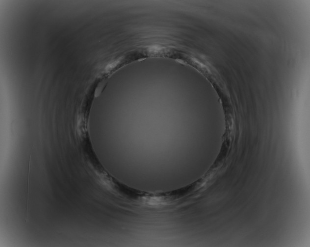 X0000087680419200705041032
