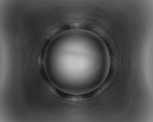 X0000087680420200705041032