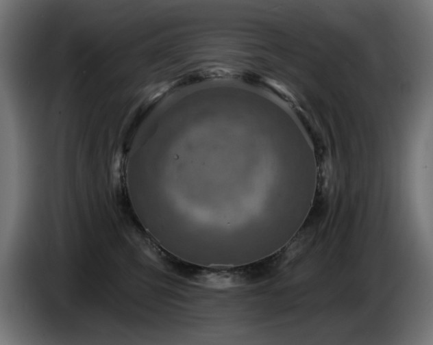 X0000087680423200705041032