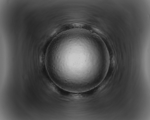 X0000087680424200705041032