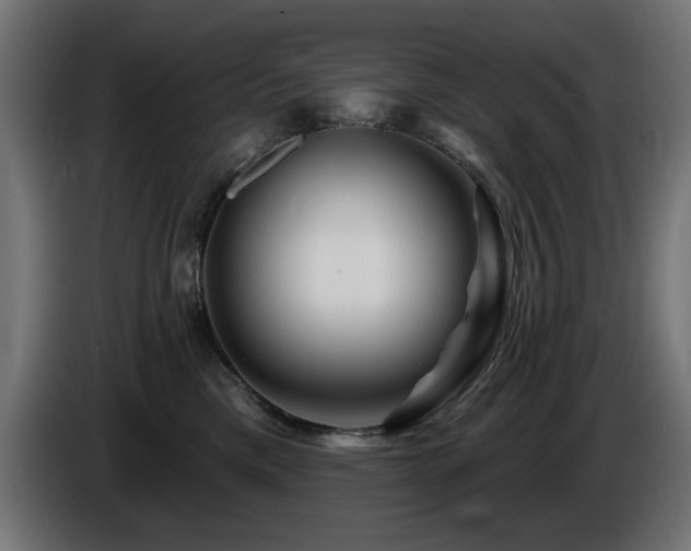 X0000087680425200705041032