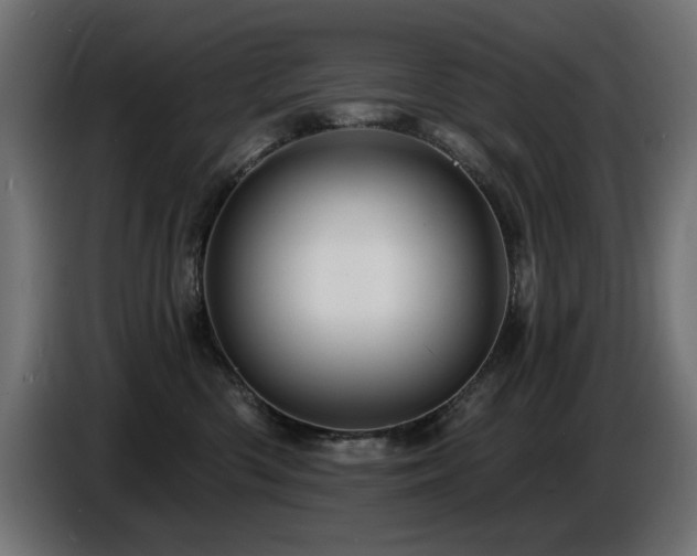 X0000087680426200705041032