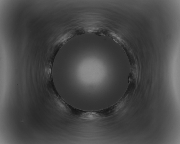 X0000087680427200705041032