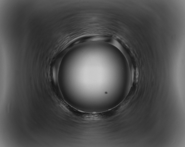 X0000087680428200705041032