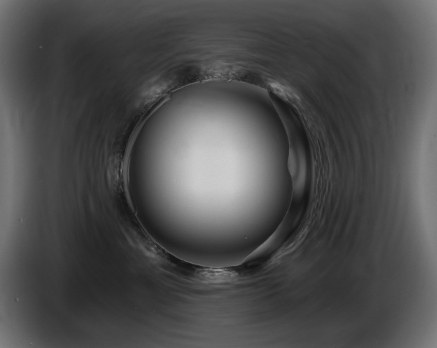 X0000087680429200705041032