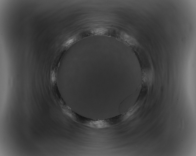 X0000087680431200705041032