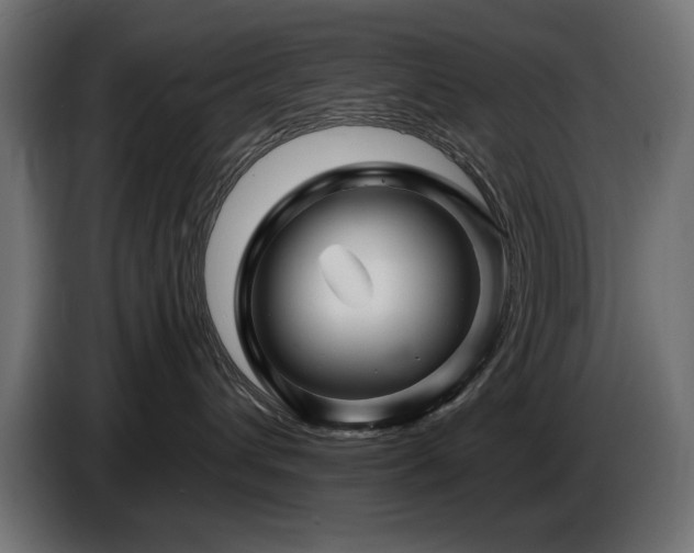 X0000087680432200705041032