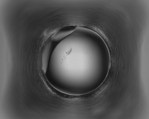X0000087680433200705041031