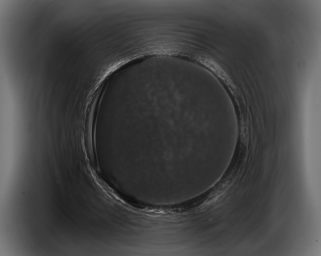 X0000087680434200705041031