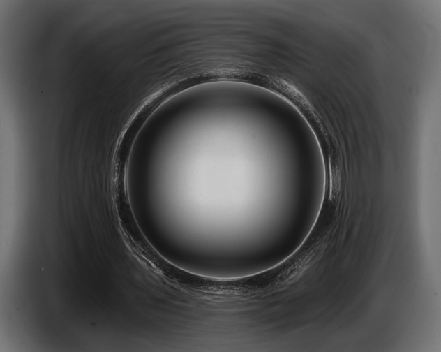 X0000087680435200705041031