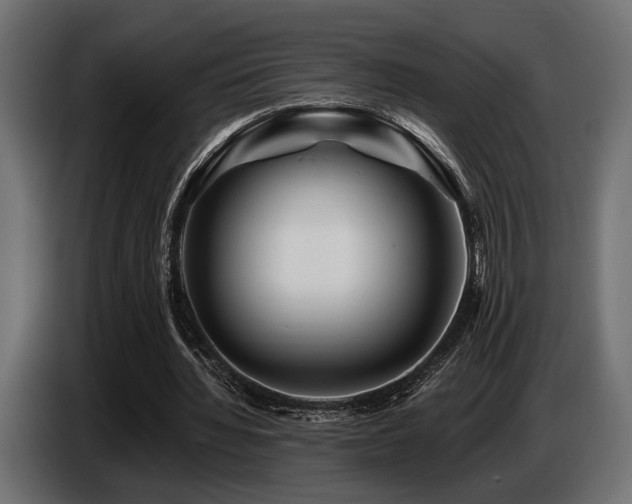 X0000087680436200705041031