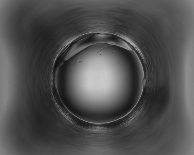 X0000087680437200705041031