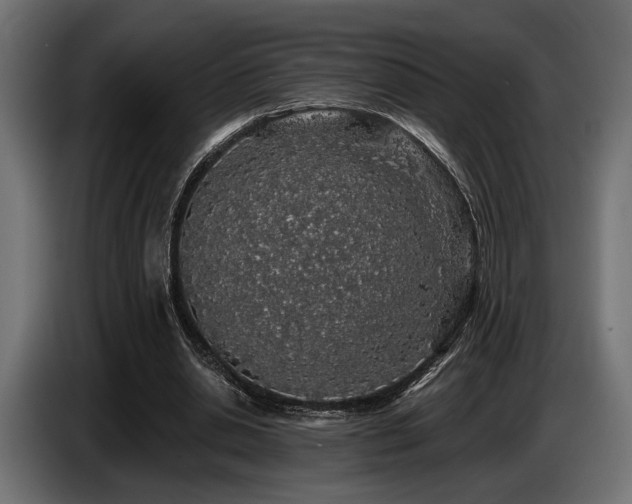 X0000087680438200705041031