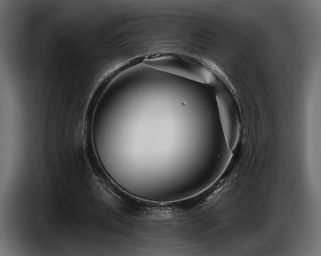 X0000087680439200705041031