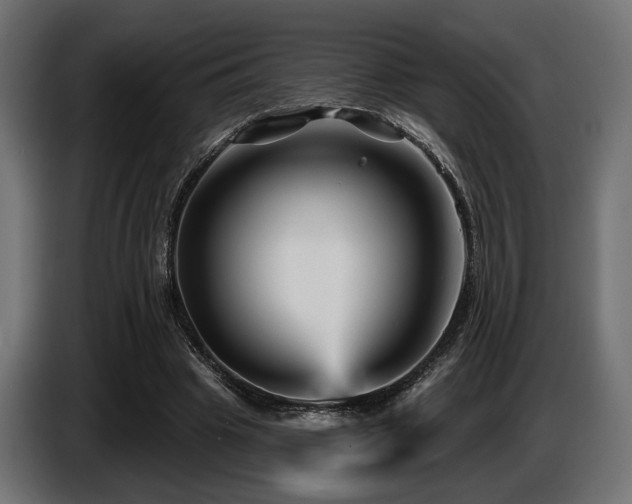 X0000087680441200705041031