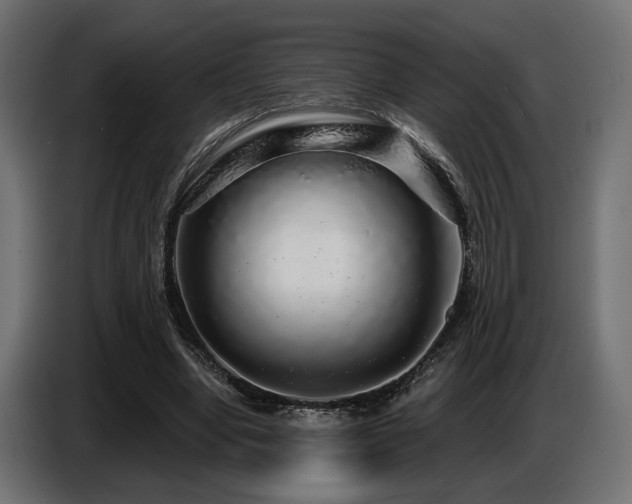 X0000087680442200705041031