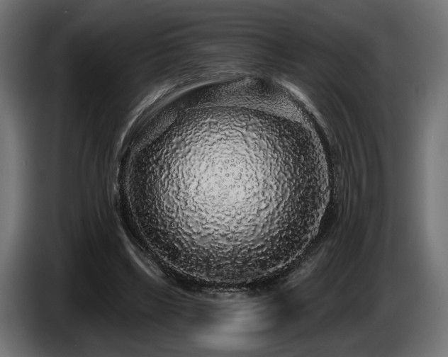 X0000087680443200705041031
