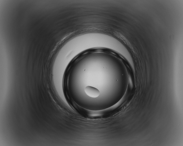 X0000087680444200705041032