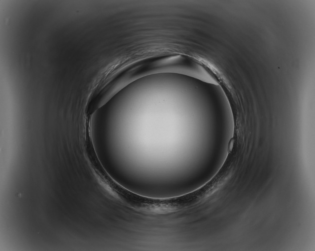 X0000087680445200705041032