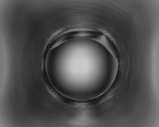 X0000087680446200705041032