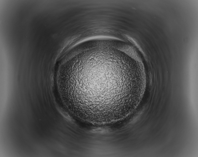X0000087680447200705041032