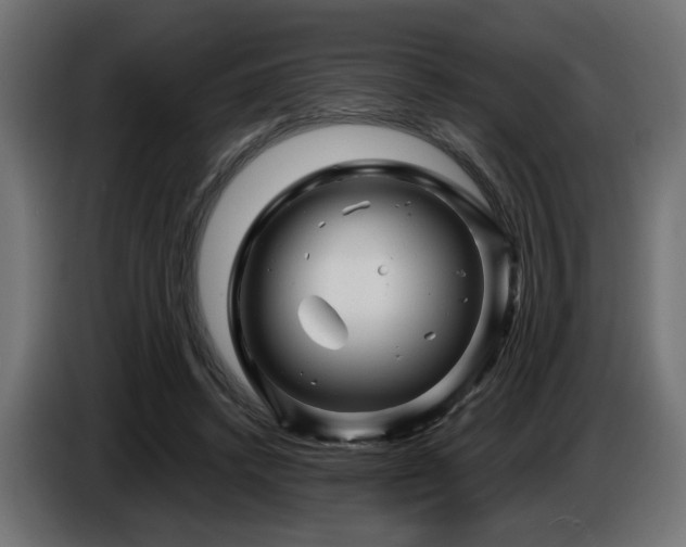 X0000087680448200705041032