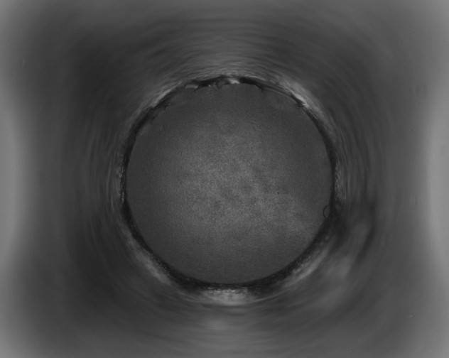 X0000087680449200705041032