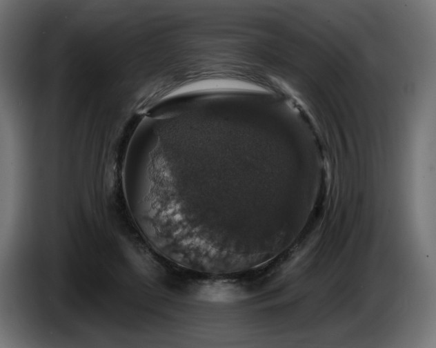 X0000087680451200705041032