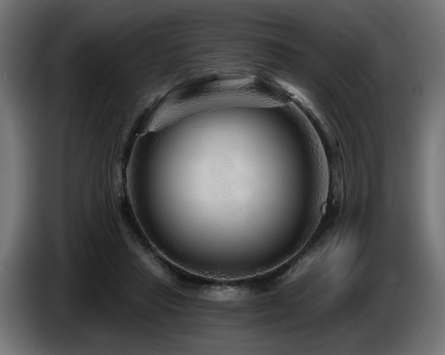 X0000087680453200705041032