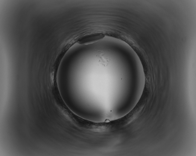 X0000087680454200705041032