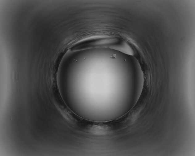 X0000087680455200705041032