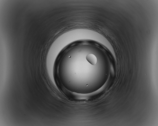 X0000087680456200705041032