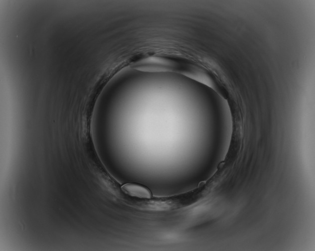 X0000087680457200705041032