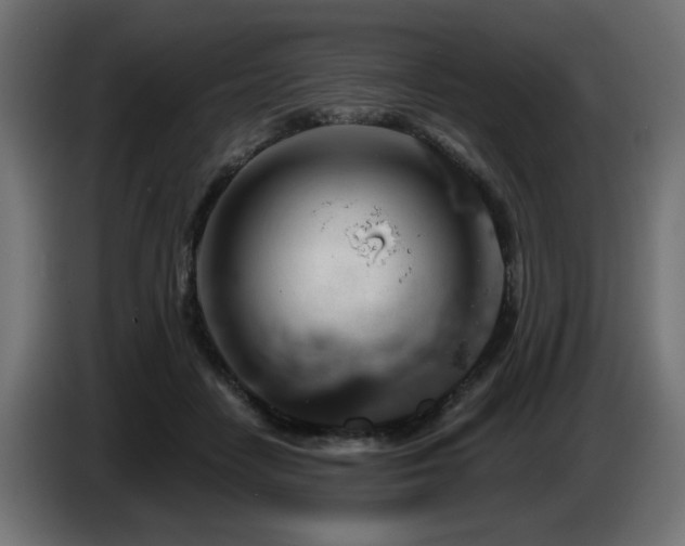 X0000087680458200705041032