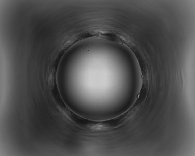 X0000087680460200705041032