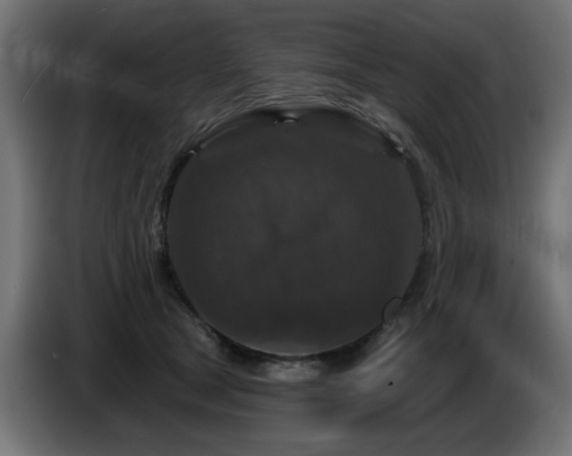 X0000087680465200705041032