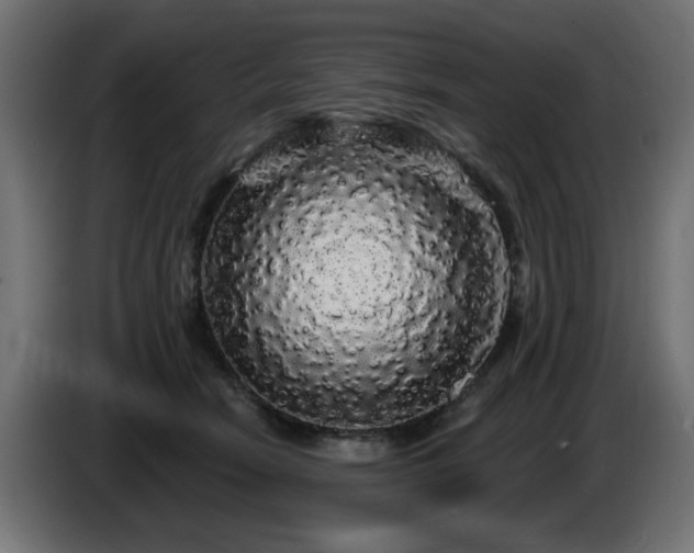 X0000087680466200705041032