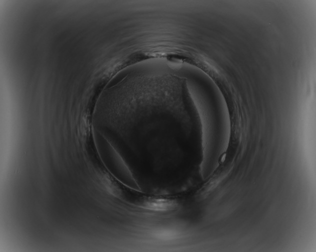 X0000087680467200705041032