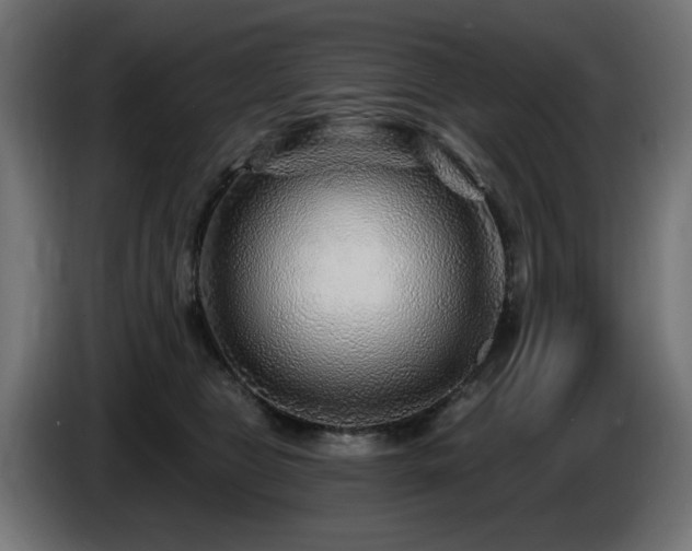 X0000087680469200705041032