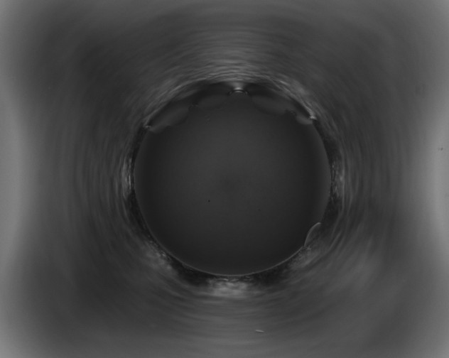 X0000087680471200705041032