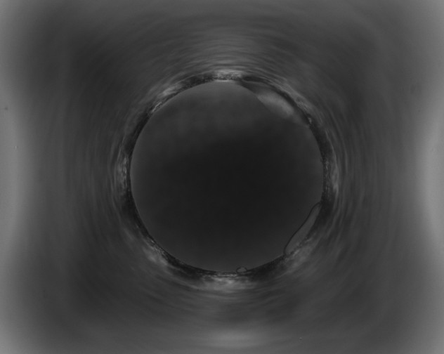 X0000087680475200705041032