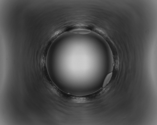 X0000087680476200705041032