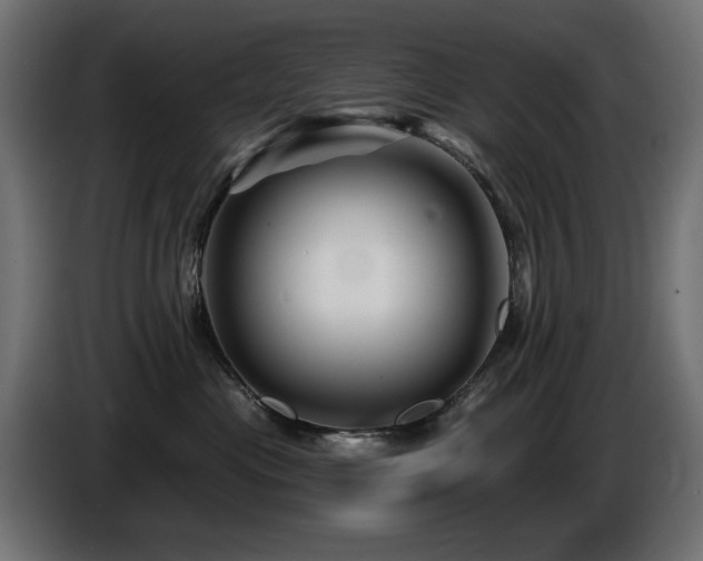 X0000087680477200705041032